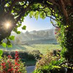 Belle vue de notre terrasse.